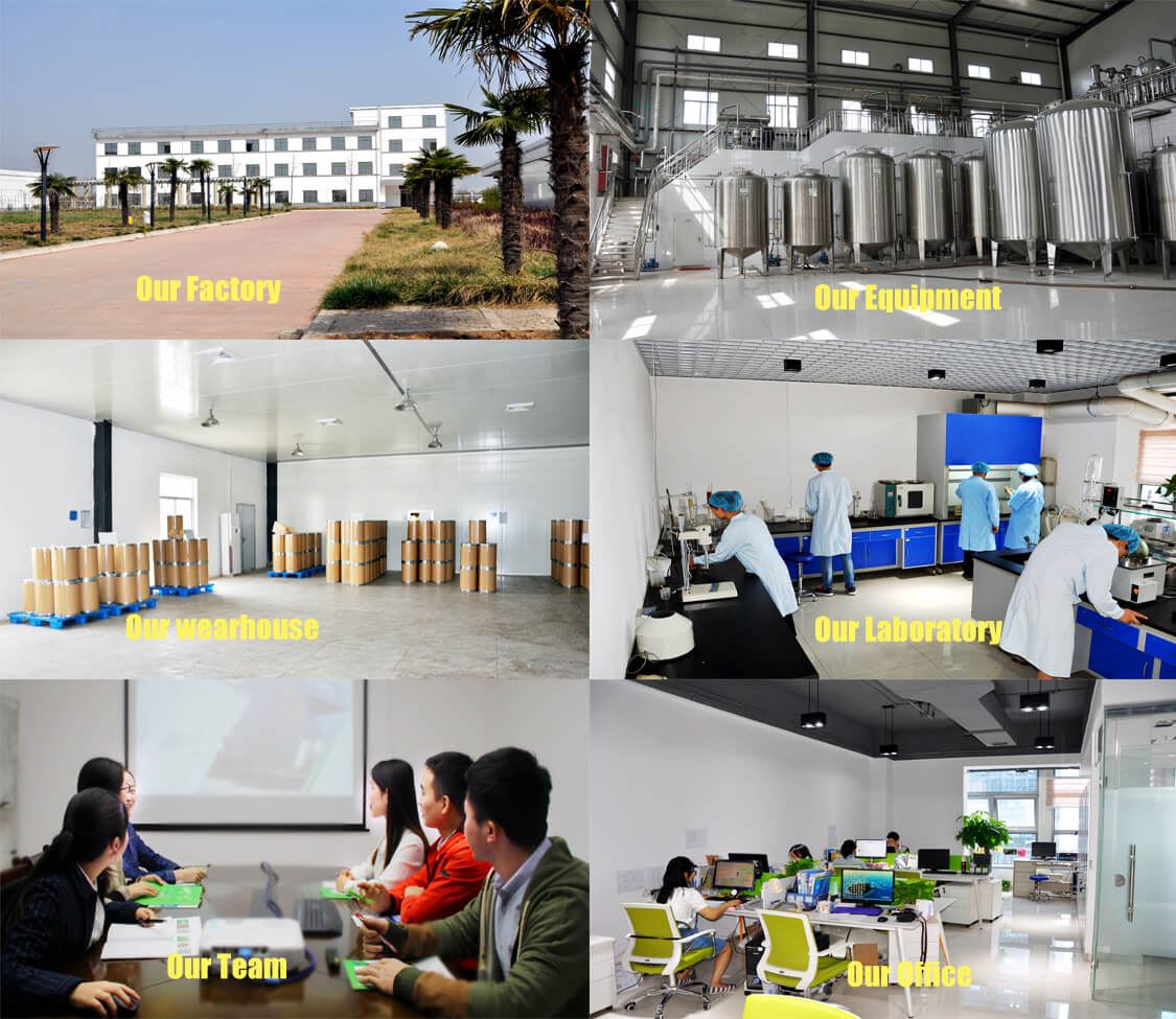 Company Information by Botanical Cube Inc.