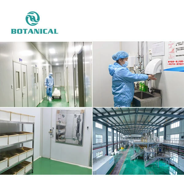 Scutellaria Baicalensis Extract suppliers