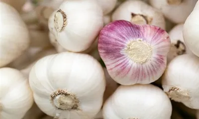 Шта је екстракт белог лука?