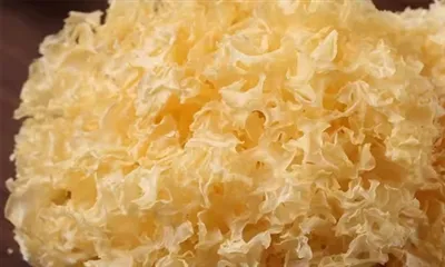 Шта је екстракт полисахарида Тремелла?