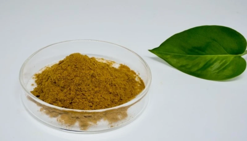 Lemon Balm Powder Lemon Balm Powder